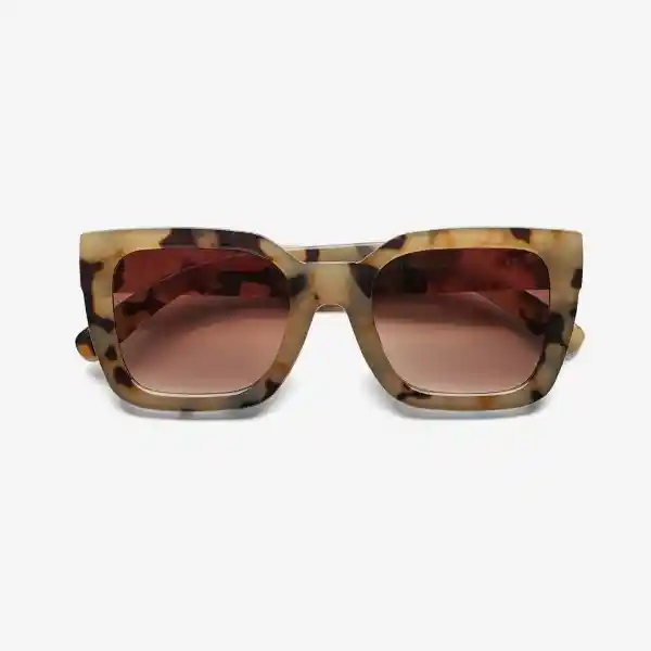 B+D Gafas Sol Bellevue Ivory Carey