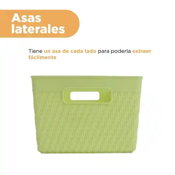 Organizador de Plástico Verde 25.5 cm L Miniso