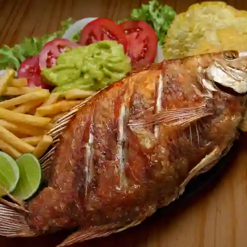 Mojarra Frita