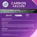 Desodorante Mujer Lady Speed Stick Carbon Absorb Spray 2x91g