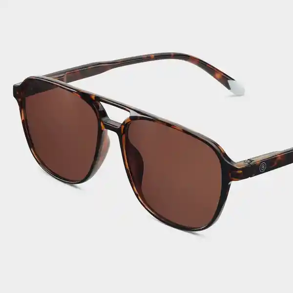 Barner Gafas Sun Brad Carey