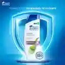 Shampoo Head Shoulders Dermo Sensitive Extractos de Sabila / Aloe Control Caspa Champu Head and Shoulders 180 ml