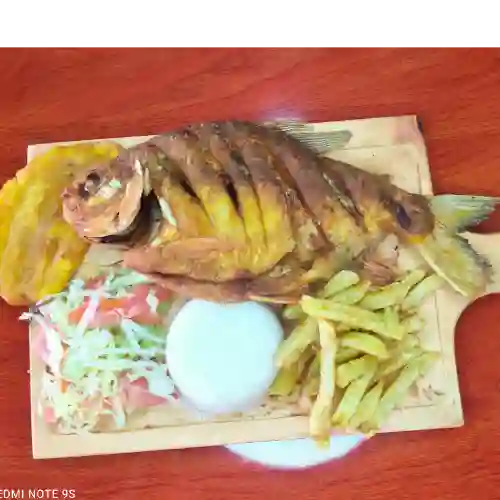 Cachama Frita