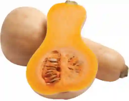 Zapallo