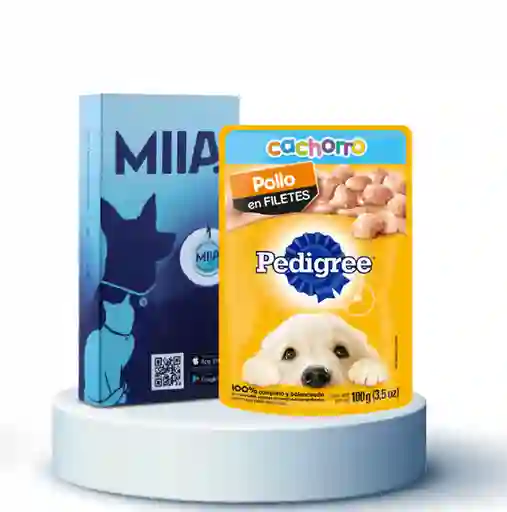 Combo Miia + Pedigri Cachorro Pollo 100 g