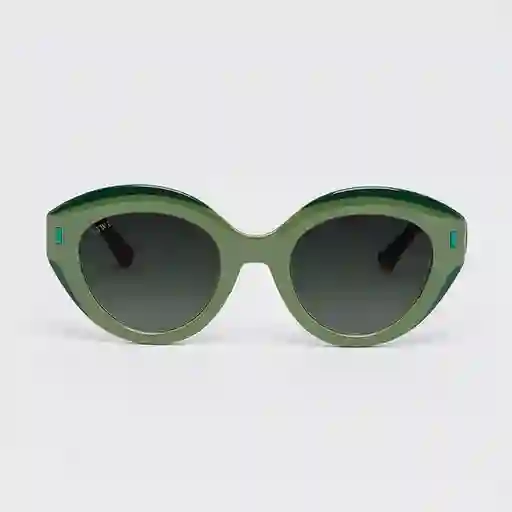 Tiwi Gafas Anne Tortoise