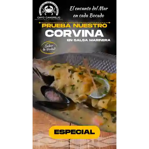 Corvina Especial en Salsa