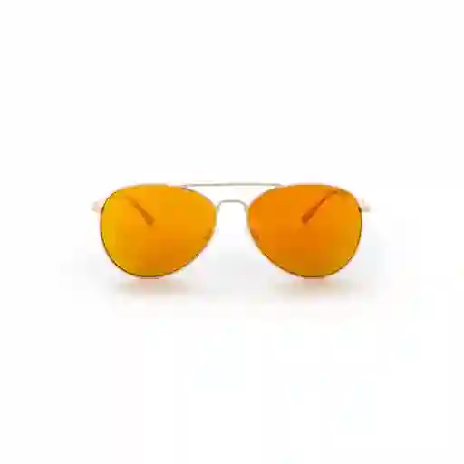 Invicta Gafas Eyewear I Unisex Dorado 22523-AVI-09