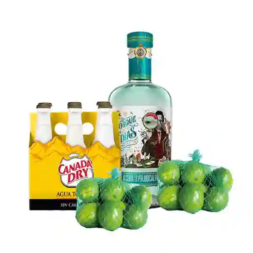 Combo Bosque de Indias Ginebra + Canada Dry Agua Tónica