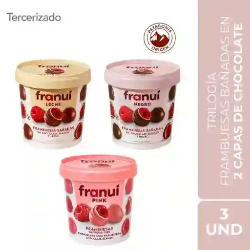 Combo Trilogia Frambuesas Bañadas en 2 Capas de Chocolate