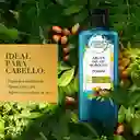 Herbal Essences Shampoo con Aceite de Argán + Acondicionador