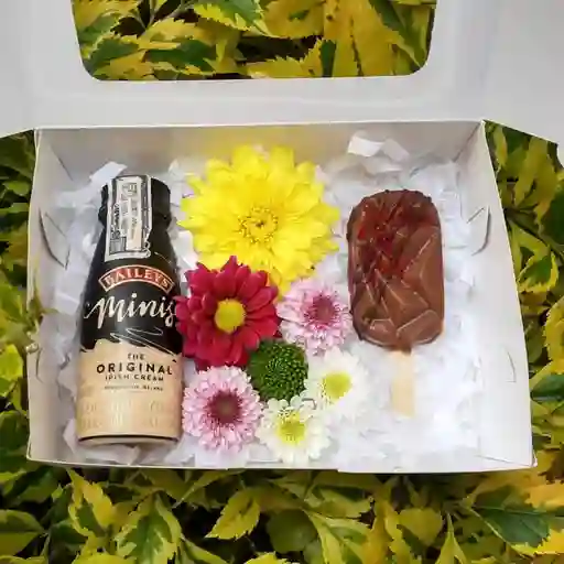 Sol: Licor, Flores y Paleta