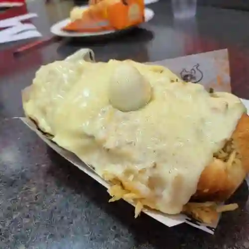 Perrito Filosito