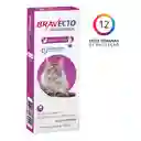 Bravecto Gatos 6,25 - 12,5 Kg