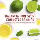 Old Spice Pack Desodorante Esencia Masculina Puresport