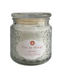 Iluminata Vela Vaso Flor de Mango Blanco 44