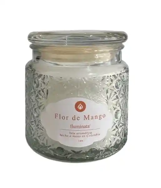 Iluminata Vela Vaso Flor de Mango Blanco 44