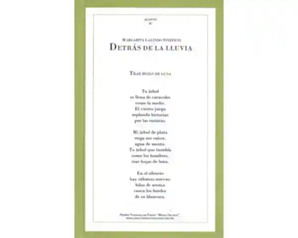 Detrás de la Lluvia - Margarita Galindo Steffens