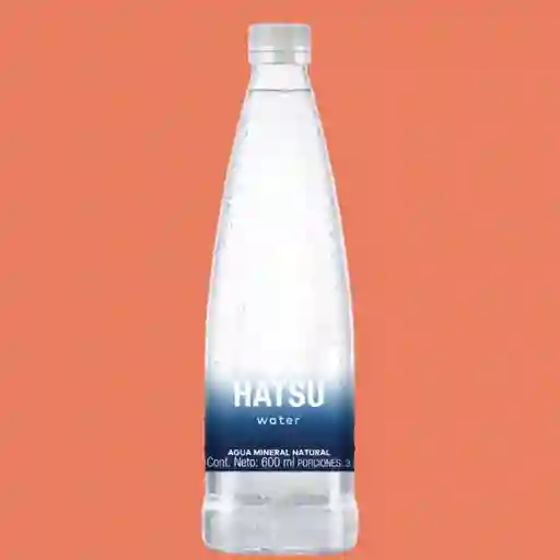 Agua hatsu sin gas 300 ml