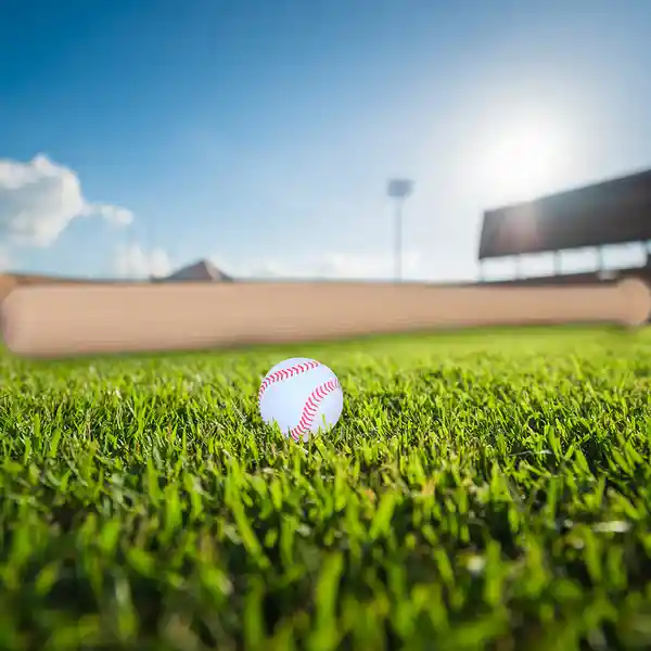 Set de Béisbol Con Bate y Pelota Miniso