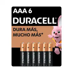 Pilas AAA6 Duracell