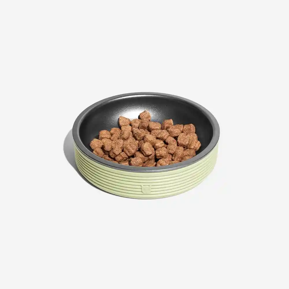 Zeedog Comedero Para Gato Duo Bowl Único Olive