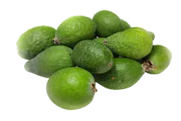 Feijoa Primera