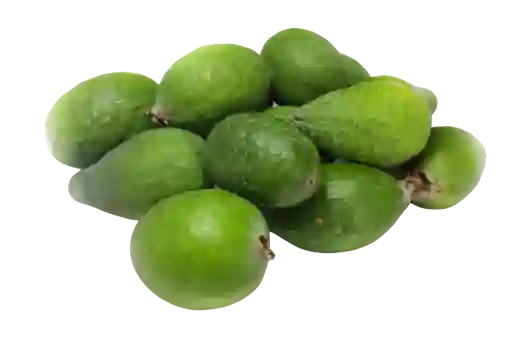 Feijoa Primera