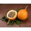 Members Selection Granadilla
