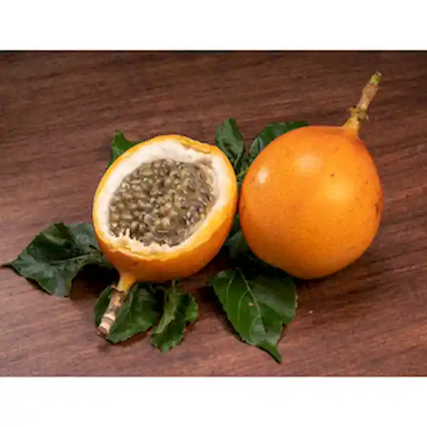 Members Selection Granadilla