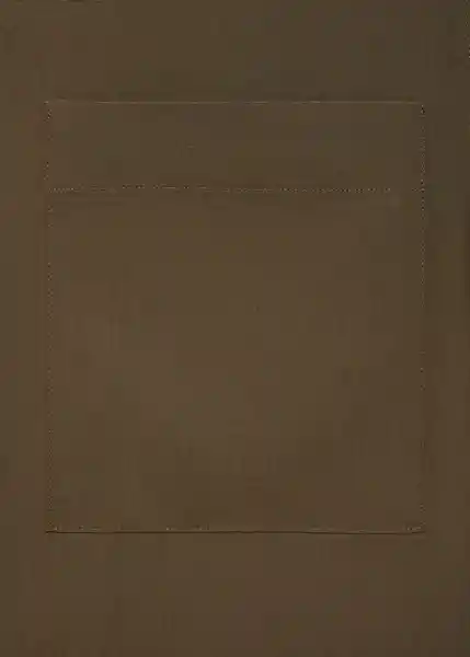 Camisa Luca Marrón Talla L Hombre Mango