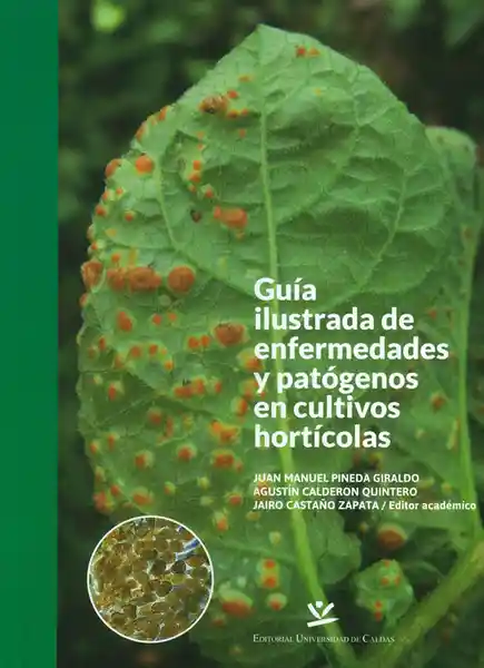 AdeS Guia Ilustrada Enfermed Y Patogenos En Cultivos Horticolas