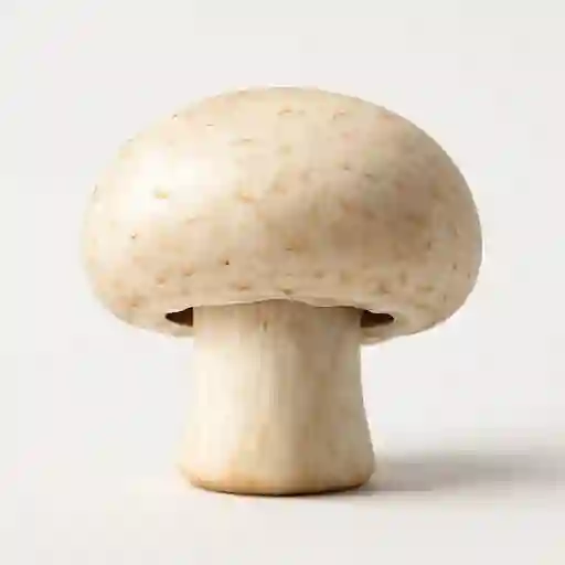 Champiñón