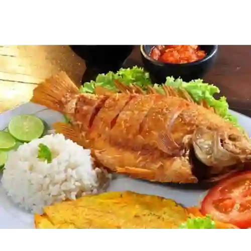 Mojarra Roja