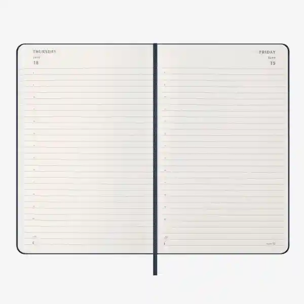 Moleskine Agenda Diaria Azul Grande Sc 2026