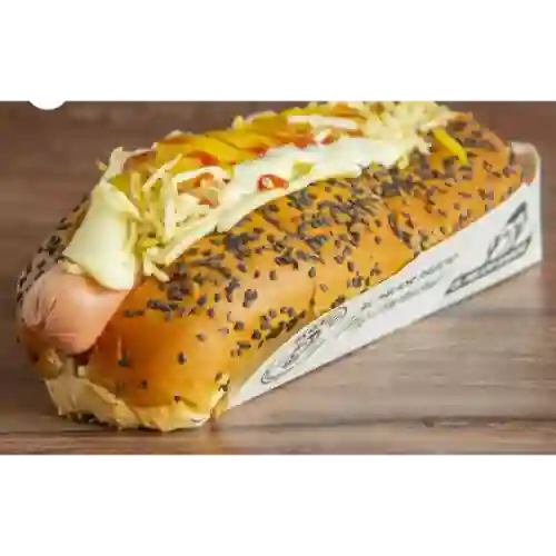 Perro Bacano Americano