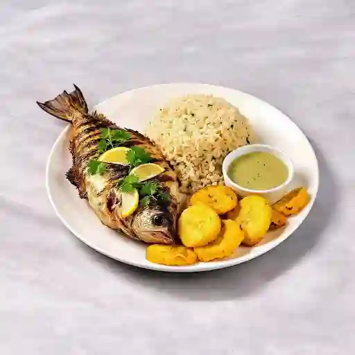 Bocachico