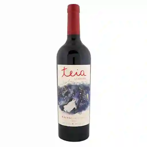 Teia Vino Tinto Malbec Petit Verdot