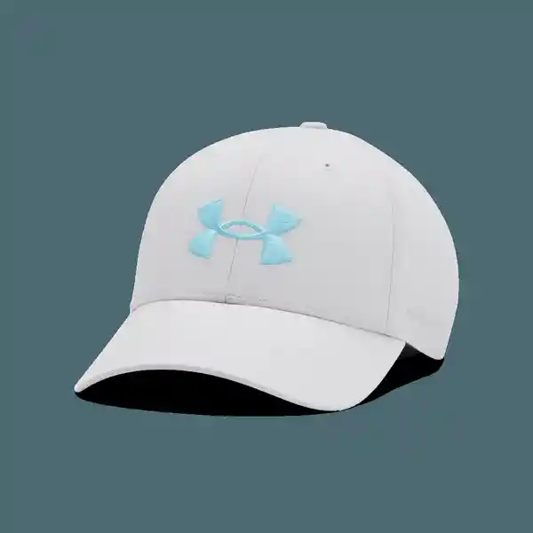 Under Armour Gorra Golf96 Hat Hombre Gris OSFM 1361547-014