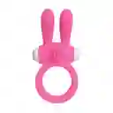 Anillo Neon Rabbit