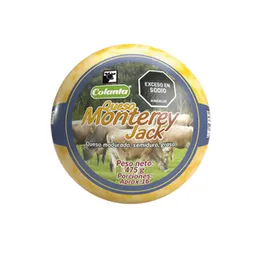 Queso Tipo Monterey Jack Colanta x 475 g