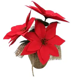 Krea Ponsetia en Maceta