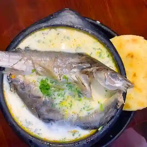 Caldo Rampuche en Leche