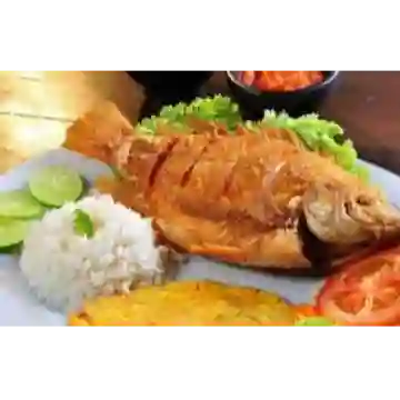 Mojarra Roja