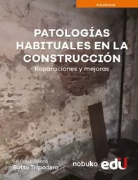 Patologías Habituales en La Construcción