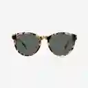 Johnny Fly Gafas Latitude Lente Café Champagne