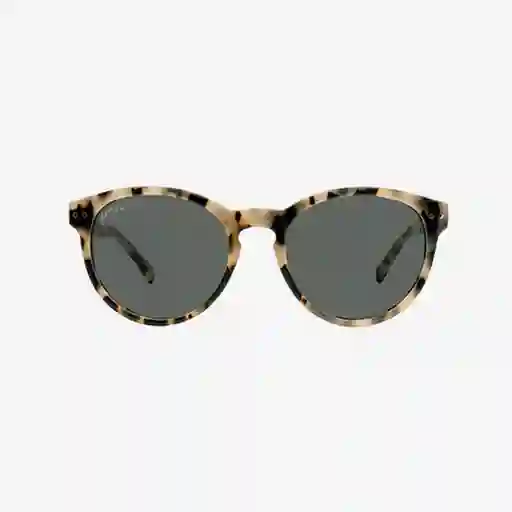 Johnny Fly Gafas Latitude Lente Café Champagne