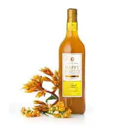 Happy Te Flor Jamaica Jengibre