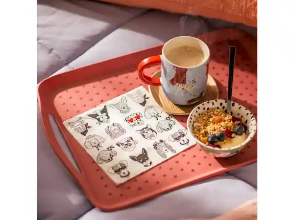 Set Servilletas Papel Casaideas