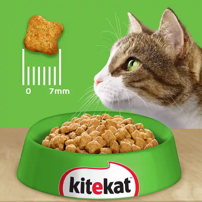 Kitekat Alimento para Gato Adulto Sabor Res y Pollo